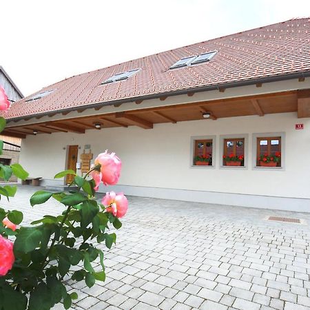 Apartments Vrdjan Cerknica Zewnętrze zdjęcie