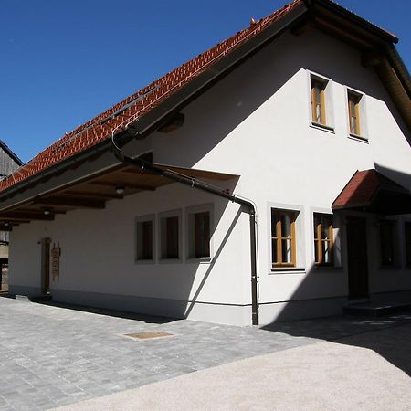 Apartments Vrdjan Cerknica Zewnętrze zdjęcie
