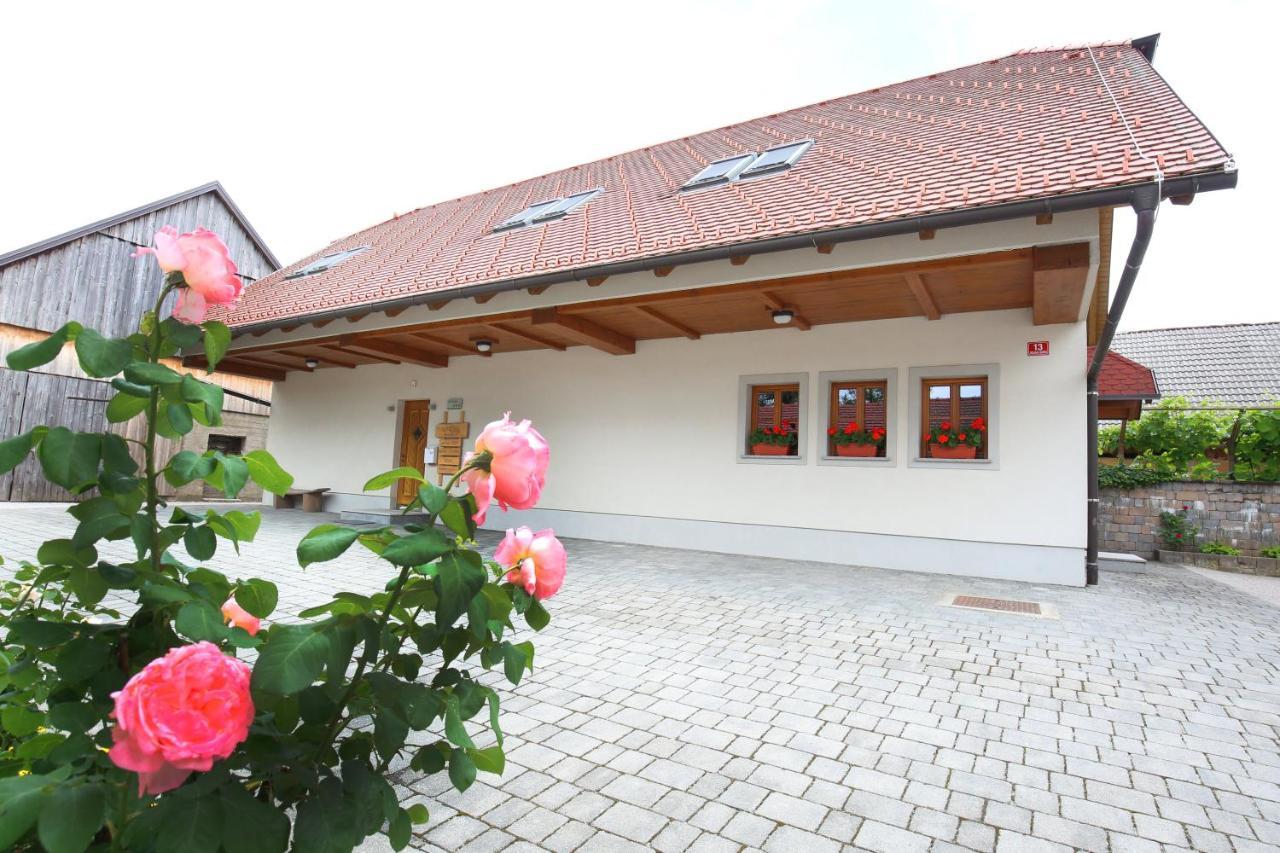 Apartments Vrdjan Cerknica Zewnętrze zdjęcie