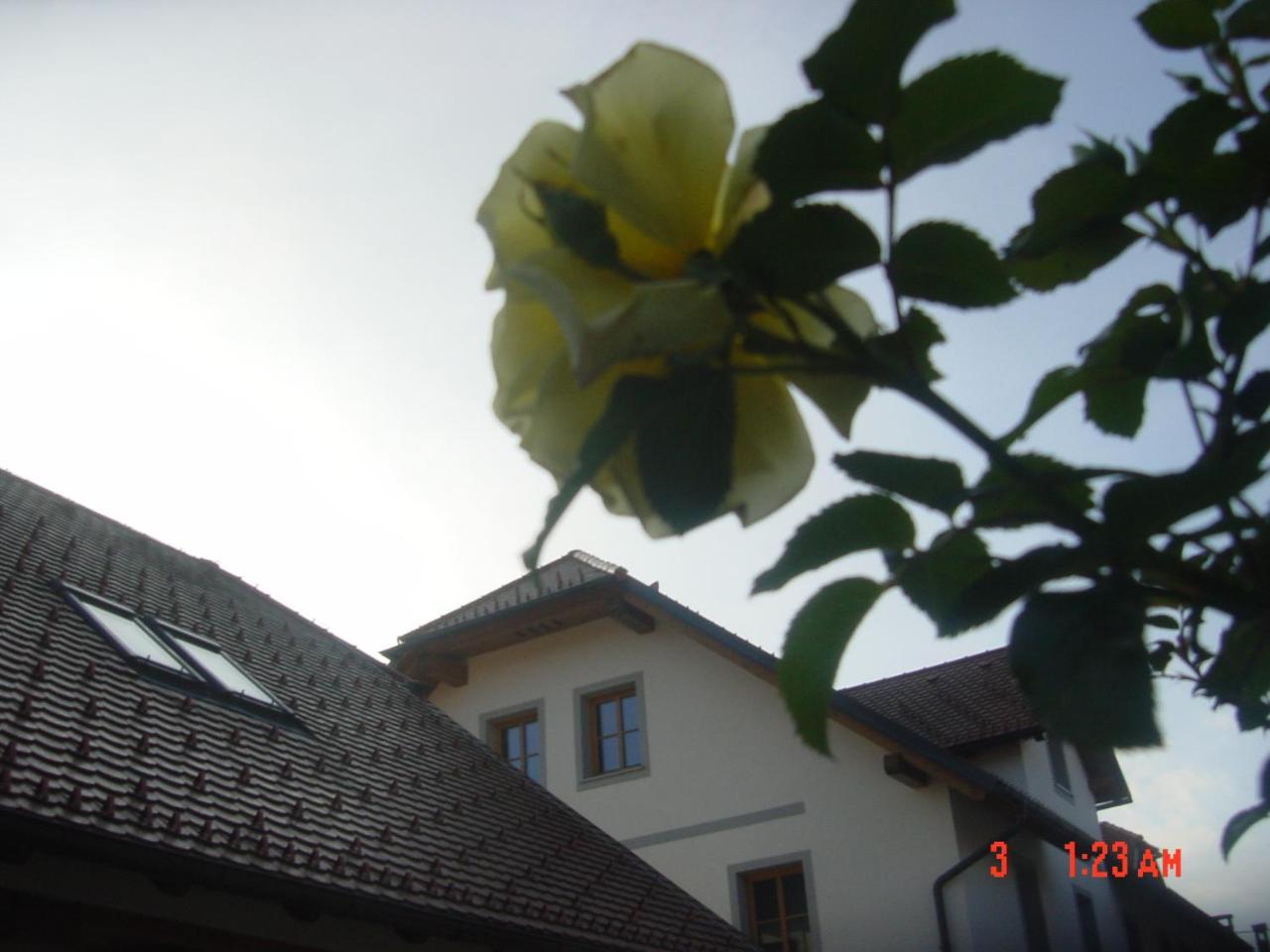 Apartments Vrdjan Cerknica Zewnętrze zdjęcie