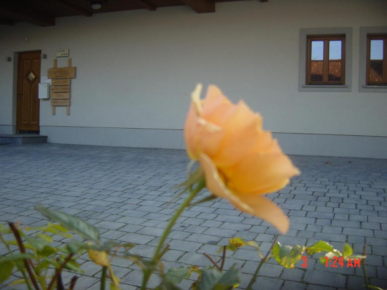 Apartments Vrdjan Cerknica Zewnętrze zdjęcie